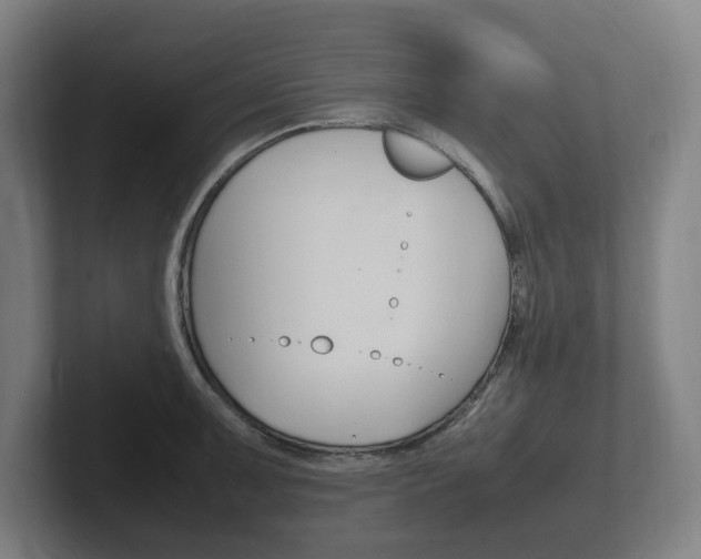 X0000102261091200807250833