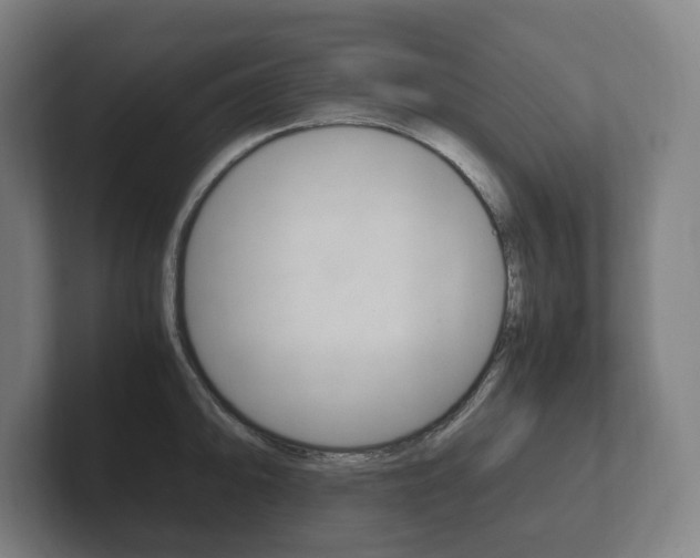 X0000102261094200807250833