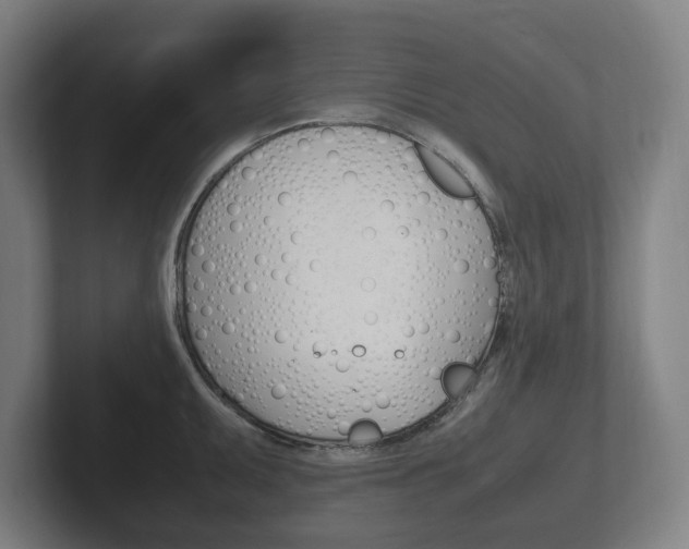 X0000102261095200807250833