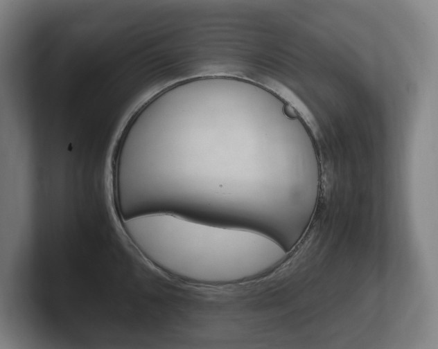 X0000102261096200807250833