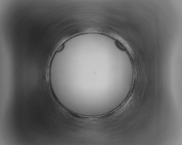 X0000102261097200807250833