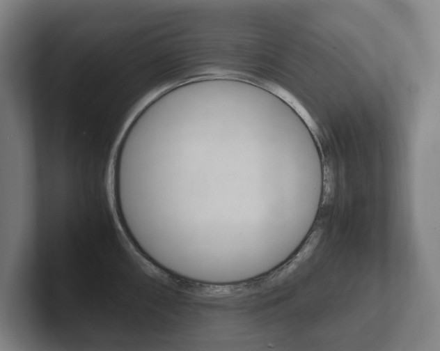 X0000102261098200807250833