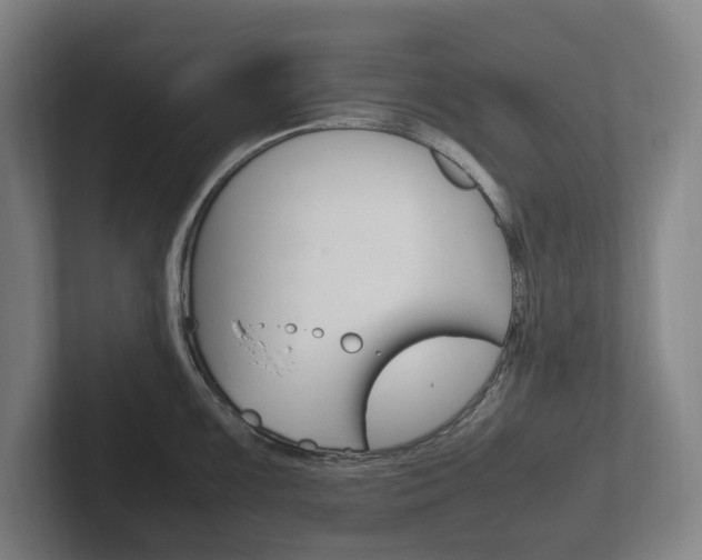 X0000102261099200807250833