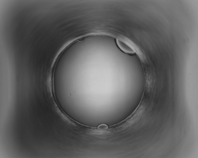 X0000102261100200807250833