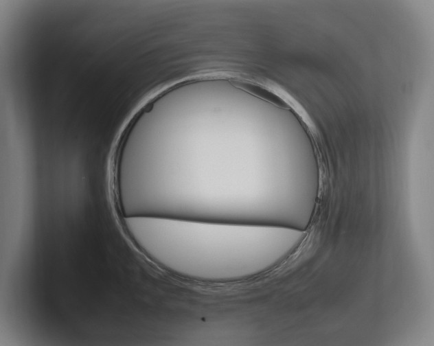 X0000102261101200807250833