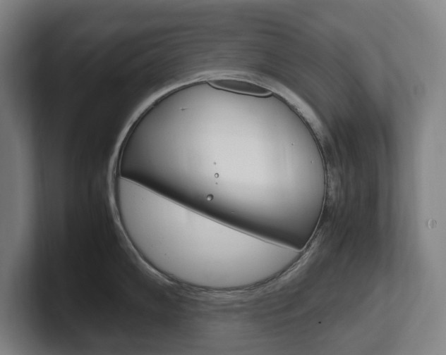 X0000102261102200807250833