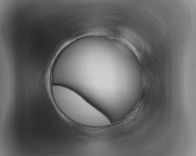 X0000102261103200807250833