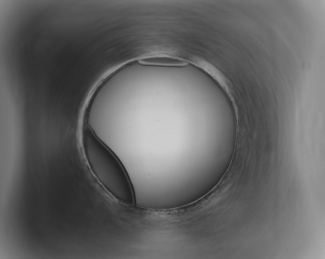 X0000102261104200807250833