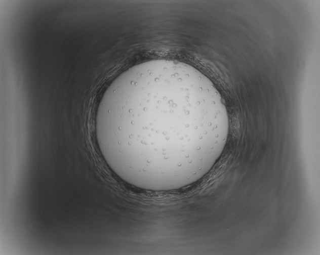 X0000102261105200807250832