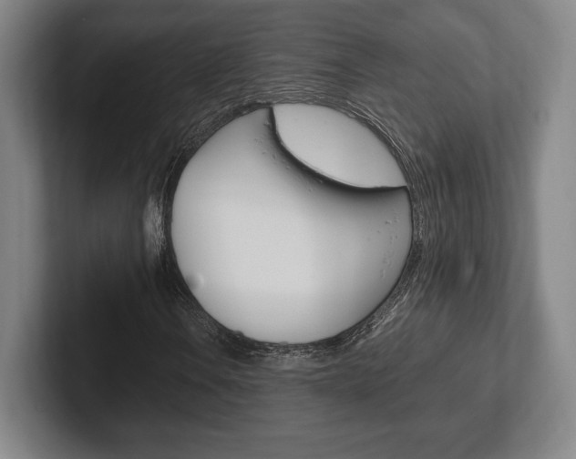 X0000102261106200807250832