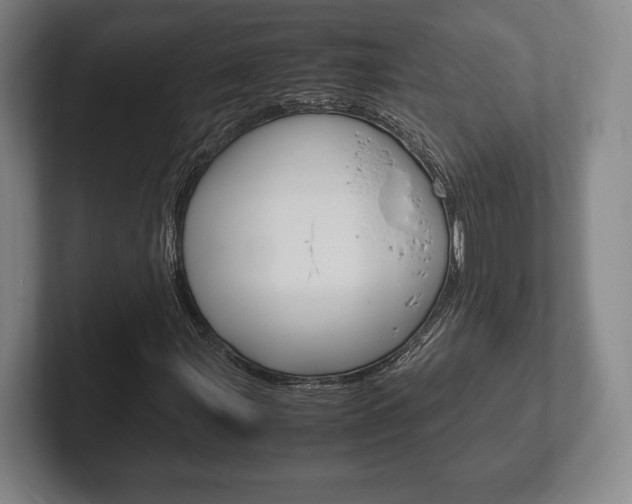 X0000102261107200807250832