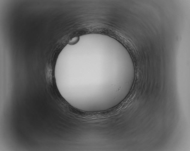 X0000102261108200807250832