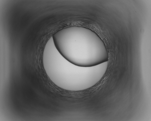 X0000102261109200807250832