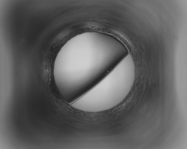 X0000102261111200807250832