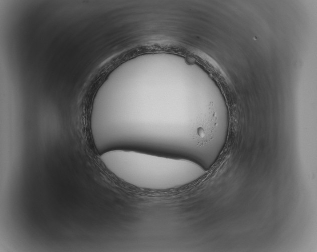 X0000102261112200807250832