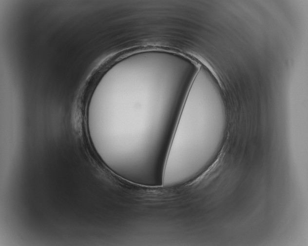 X0000102261115200807250832