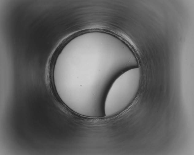 X0000102261116200807250832
