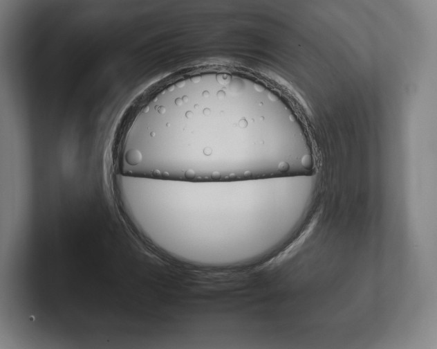 X0000102261117200807250832