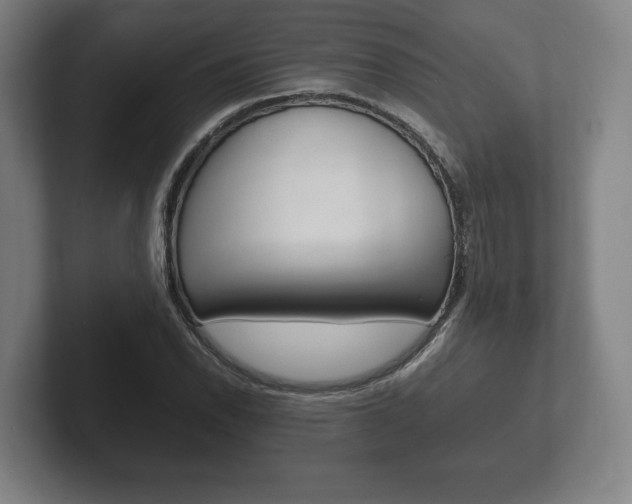 X0000102261118200807250832