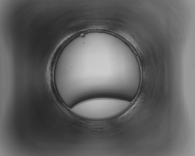 X0000102261119200807250832