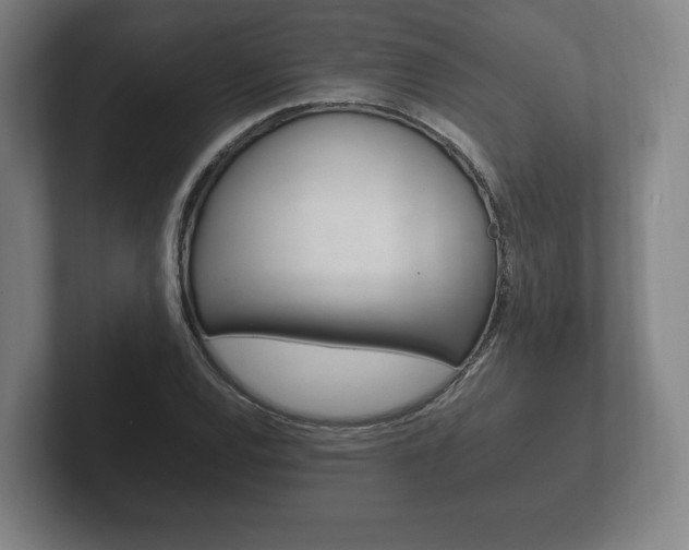 X0000102261120200807250832