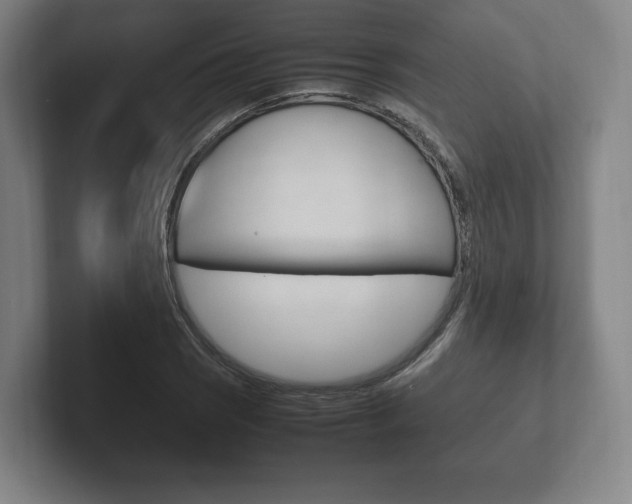X0000102261121200807250832