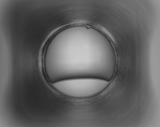 X0000102261124200807250832