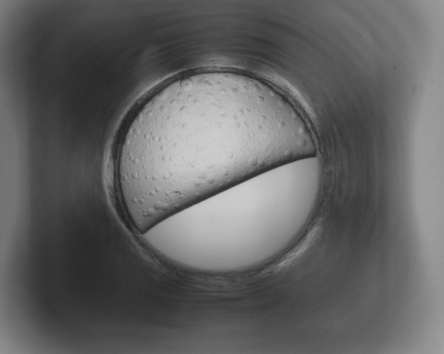 X0000102261125200807250832