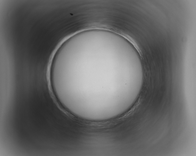 X0000102261128200807250832