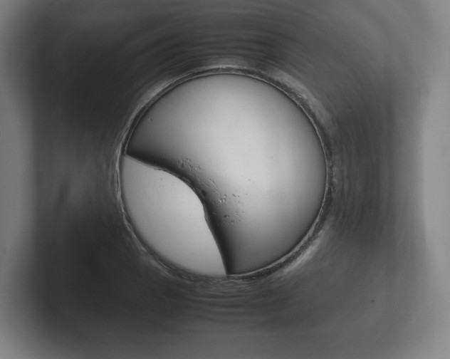 X0000102261129200807250832