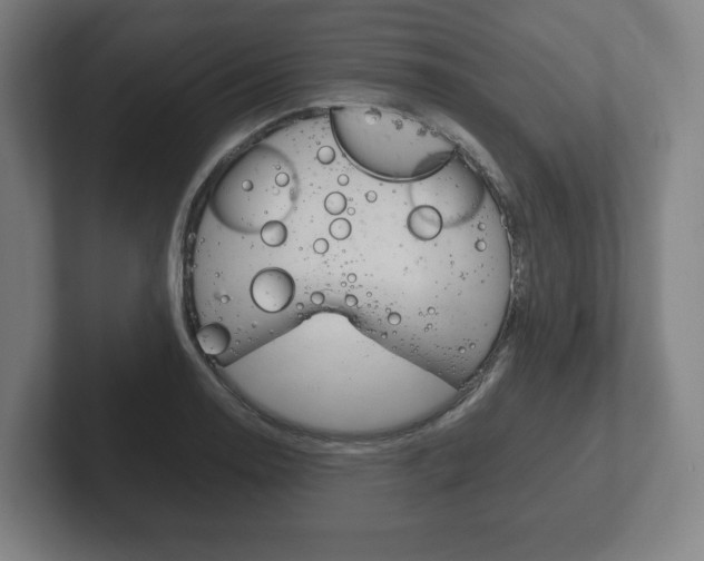 X0000102261130200807250832