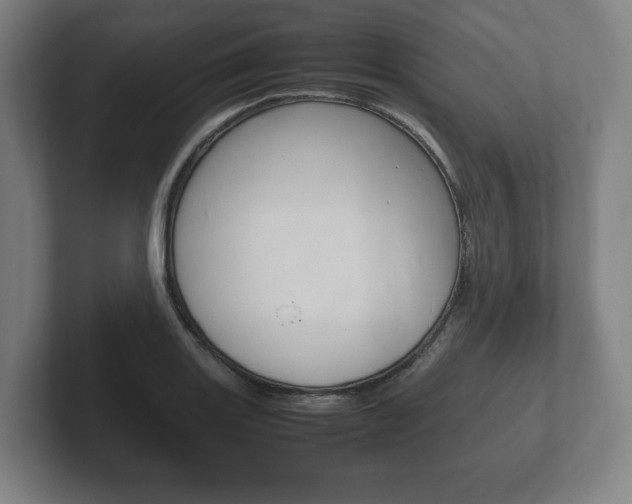 X0000102261131200807250832
