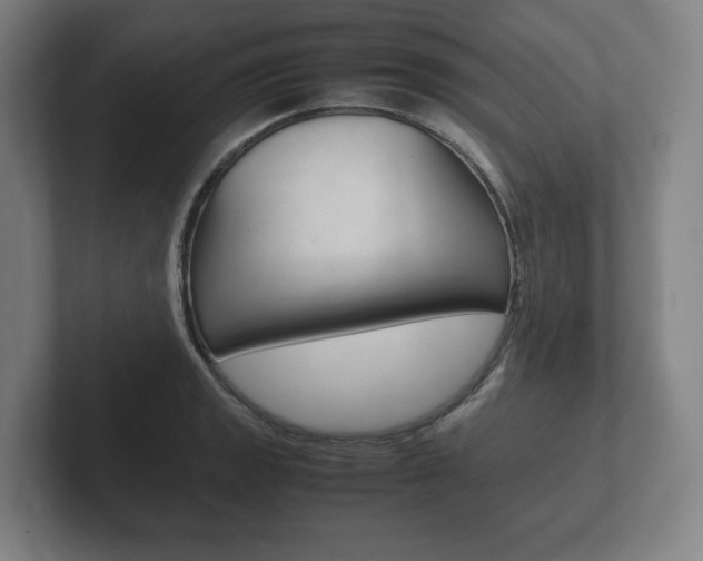 X0000102261133200807250832