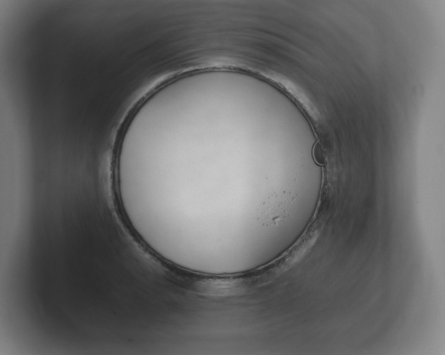 X0000102261134200807250832
