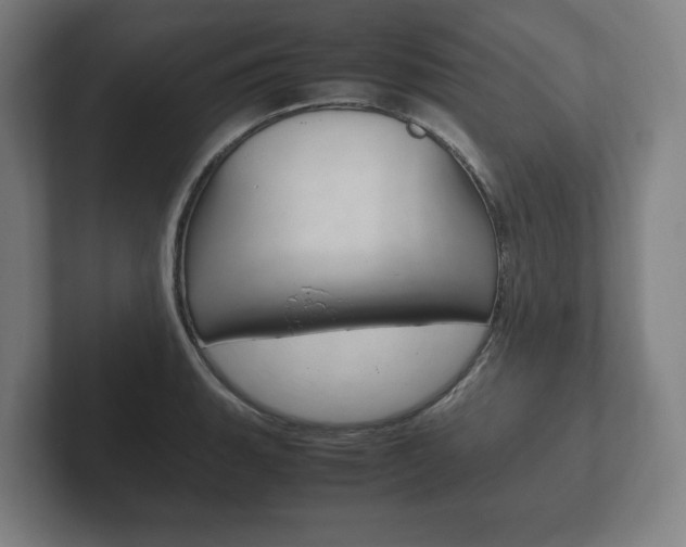 X0000102261135200807250832