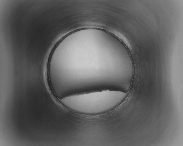 X0000102261136200807250832