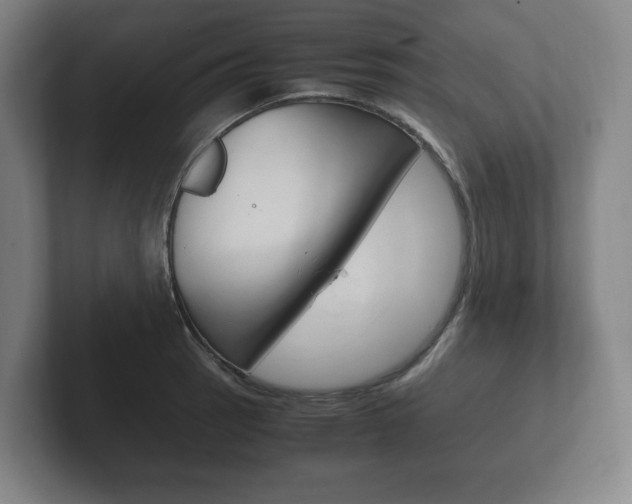 X0000102261137200807250832