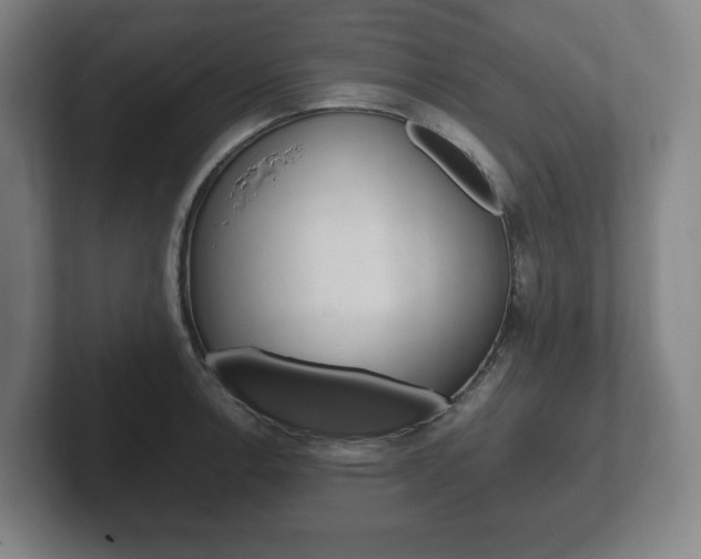 X0000102261138200807250832