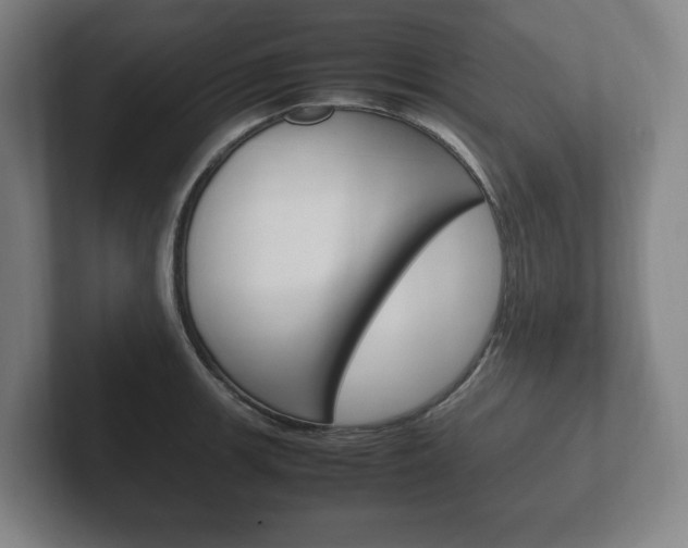 X0000102261139200807250832