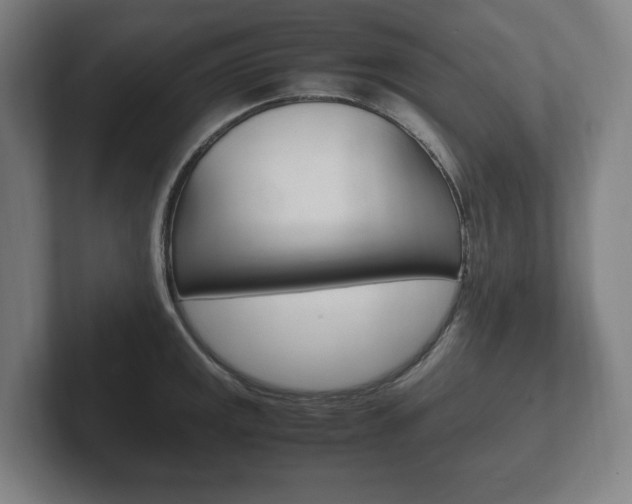 X0000102261141200807250832