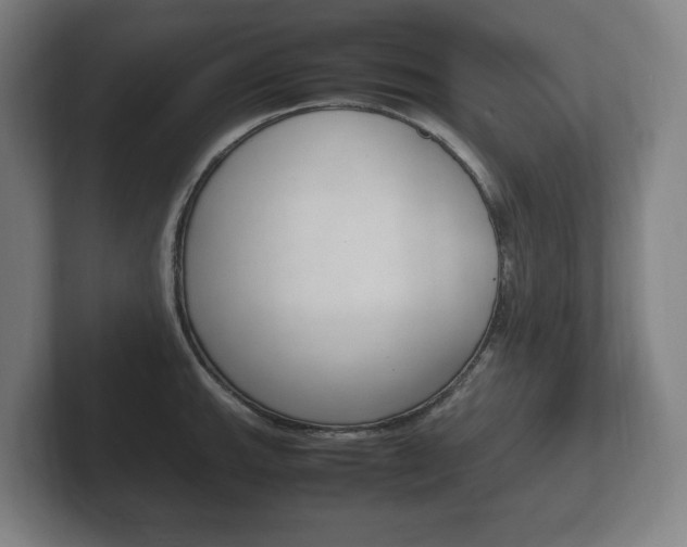 X0000102261143200807250832