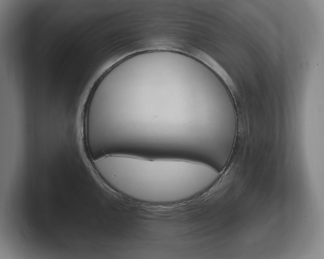 X0000102261144200807250832