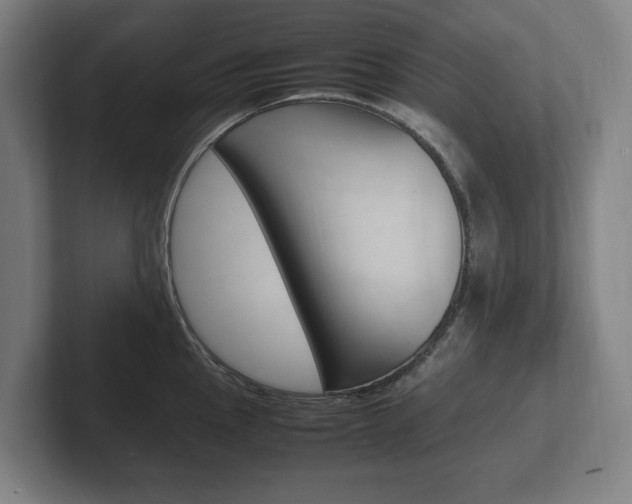 X0000102261145200807250832