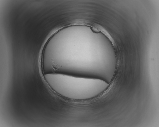 X0000102261146200807250832