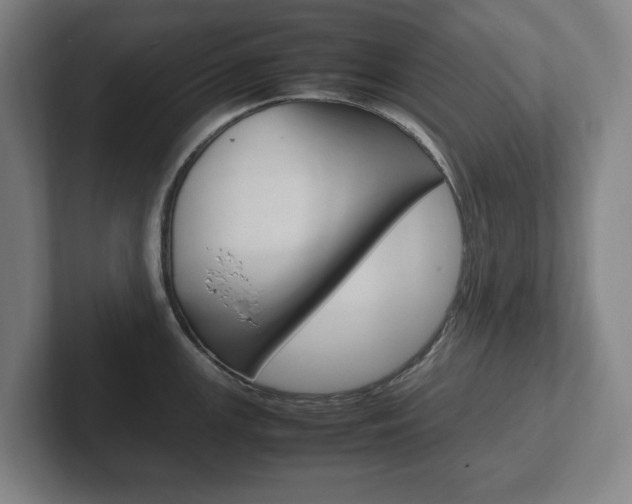 X0000102261147200807250832