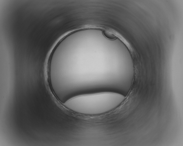 X0000102261148200807250832