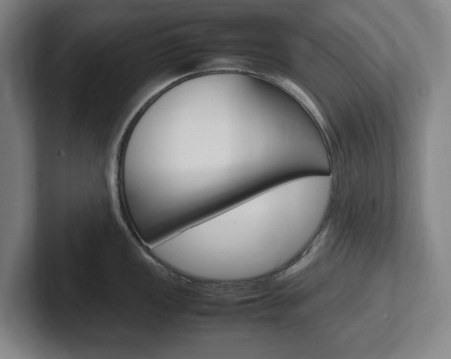 X0000102261149200807250832