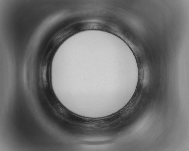 X0000102261150200807250832