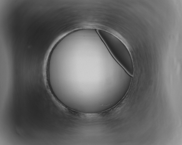 X0000102261152200807250832