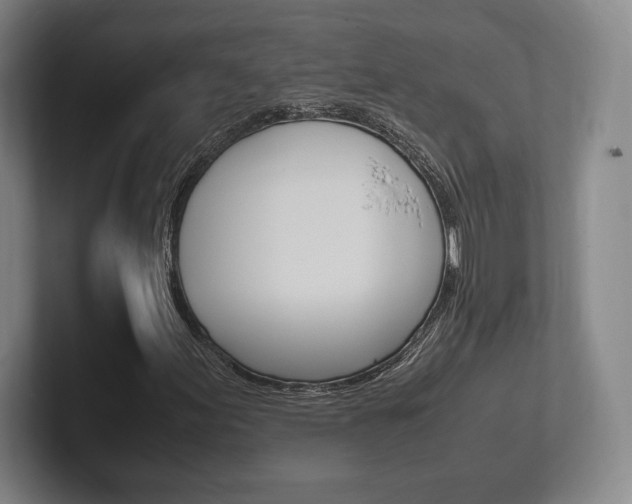 X0000102261155200807250832